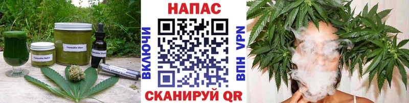 OMG маркетплейс  Саров  Еда ТГК конопля  что такое наркотик 