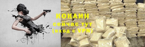 стаф Няндома