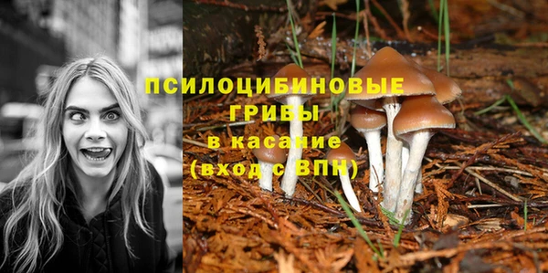 стаф Няндома