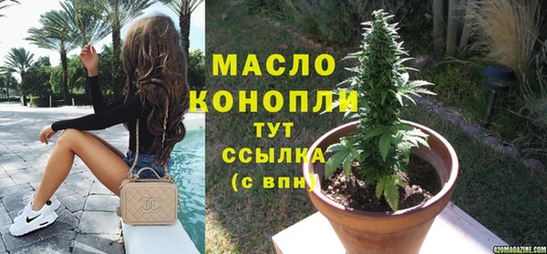 стаф Няндома