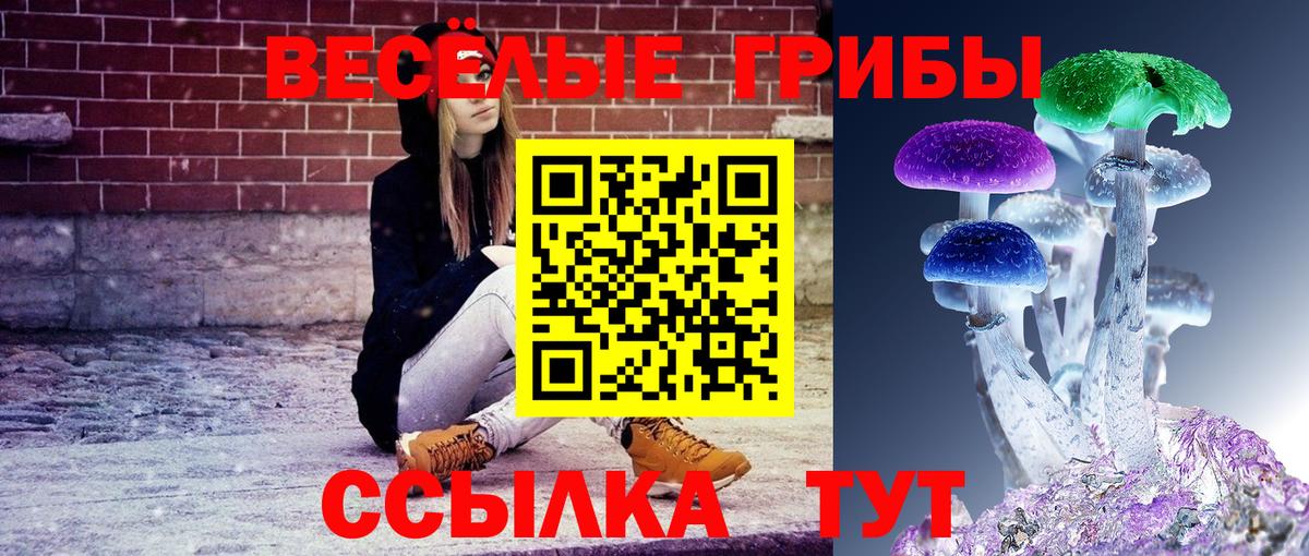 Псилоцибиновые грибы GOLDEN TEACHER Саров