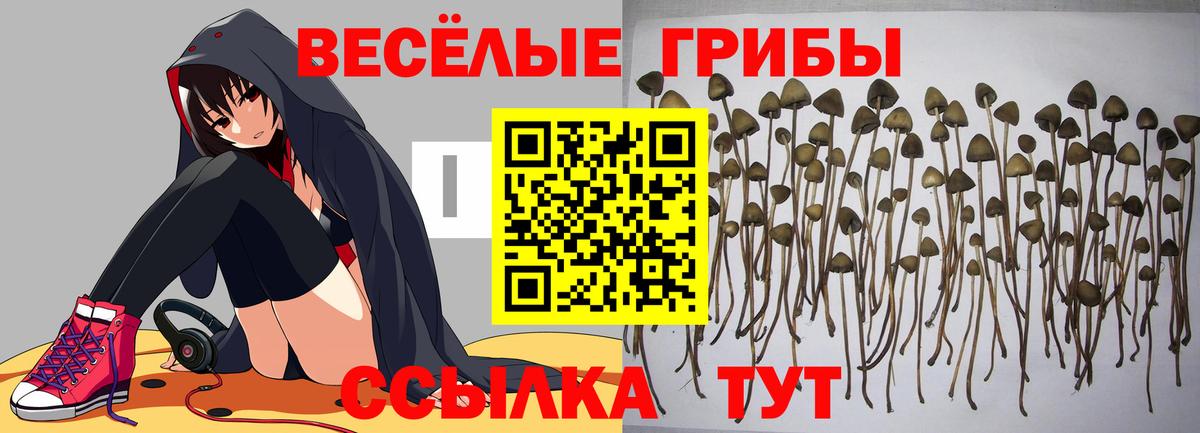 Псилоцибиновые грибы ЛСД  Вход с VPN  Саров 