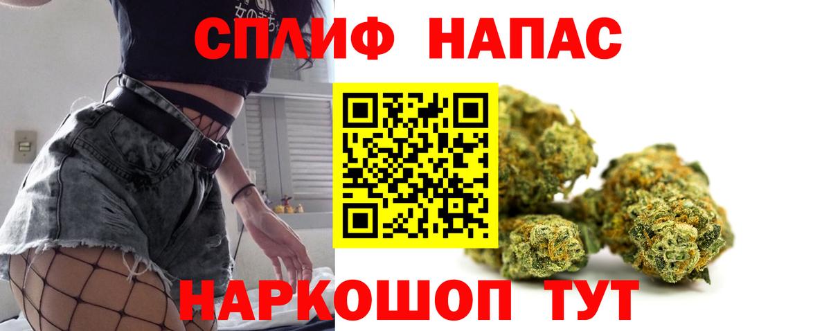 МАРИХУАНА Ganja  Каннабис планчик  Саров  Каннабис THC 21%  Канабис план 